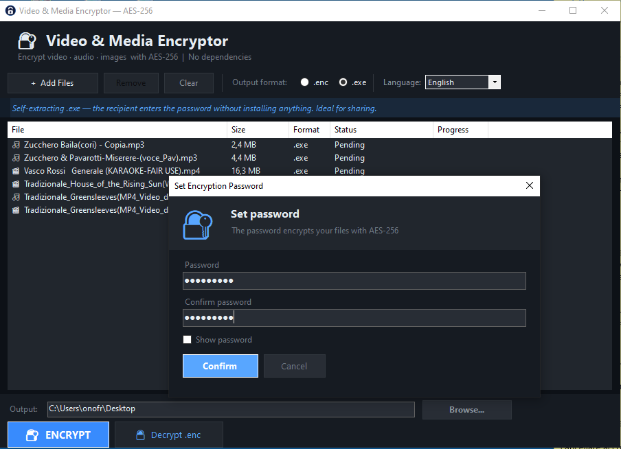Video&Media Encryptor Windows Software screenshot